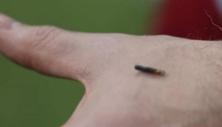 Foto: Depositphotos, DragonImages