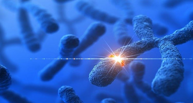 Izvor: https://www.google.com/url?sa=i&url=https%3A%2F%2Fpoliklinika-analiza.hr%2Fgeni-i-zdravlje%2F&psig=AOvVaw3CcDa9dkjc-dHbdPG5G7az&ust=1666963490596000&source=images&cd=vfe&ved=2ahUKEwjVifqGwYD7AhVEiP0HHUFjCCwQr4kDegUIARC8AQ