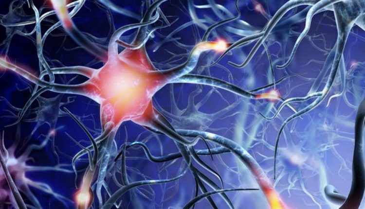 Foto: depositphotos, 100502500